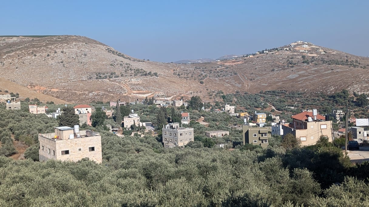 Rocky, hilly landscape with a bright blue sky, sparse houses, many olive trees